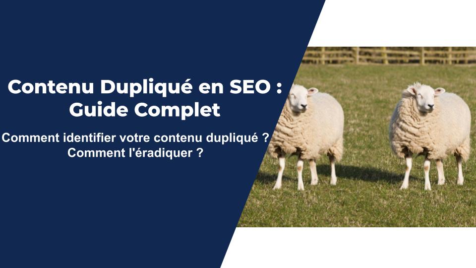 Contenu Dupliqué en SEO : le guide complet